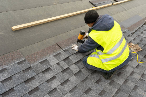 Best Roof Ventilation Installation  in Thomasville, AL