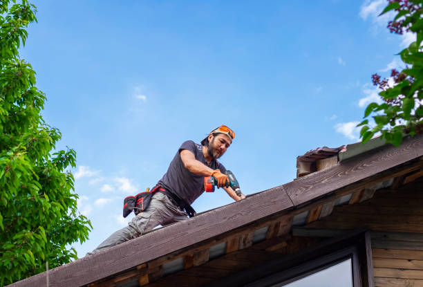 Best Gutter Replacement  in Thomasville, AL