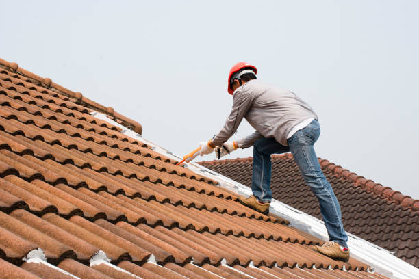  Thomasville, AL Roofing repair and installation Pros