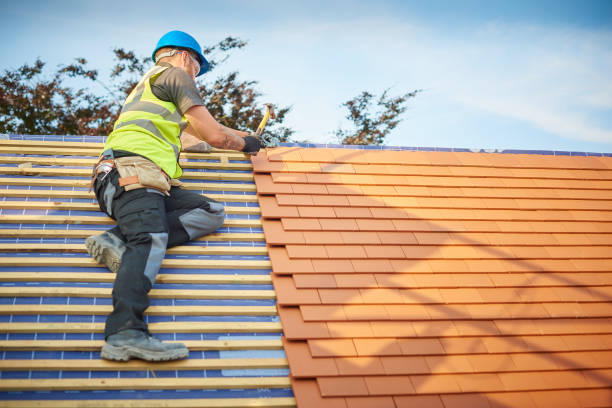 Professional  Roofing repair and installation in Thomasville, AL